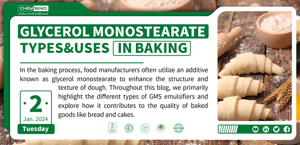 Glycerol Monostearate Types&Uses in Baking